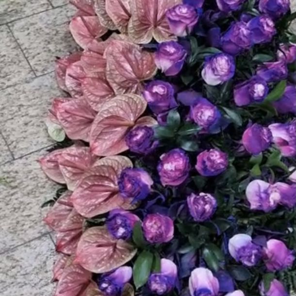 Esempio dalla galleria fotografica di Onoranze Funebri Universal